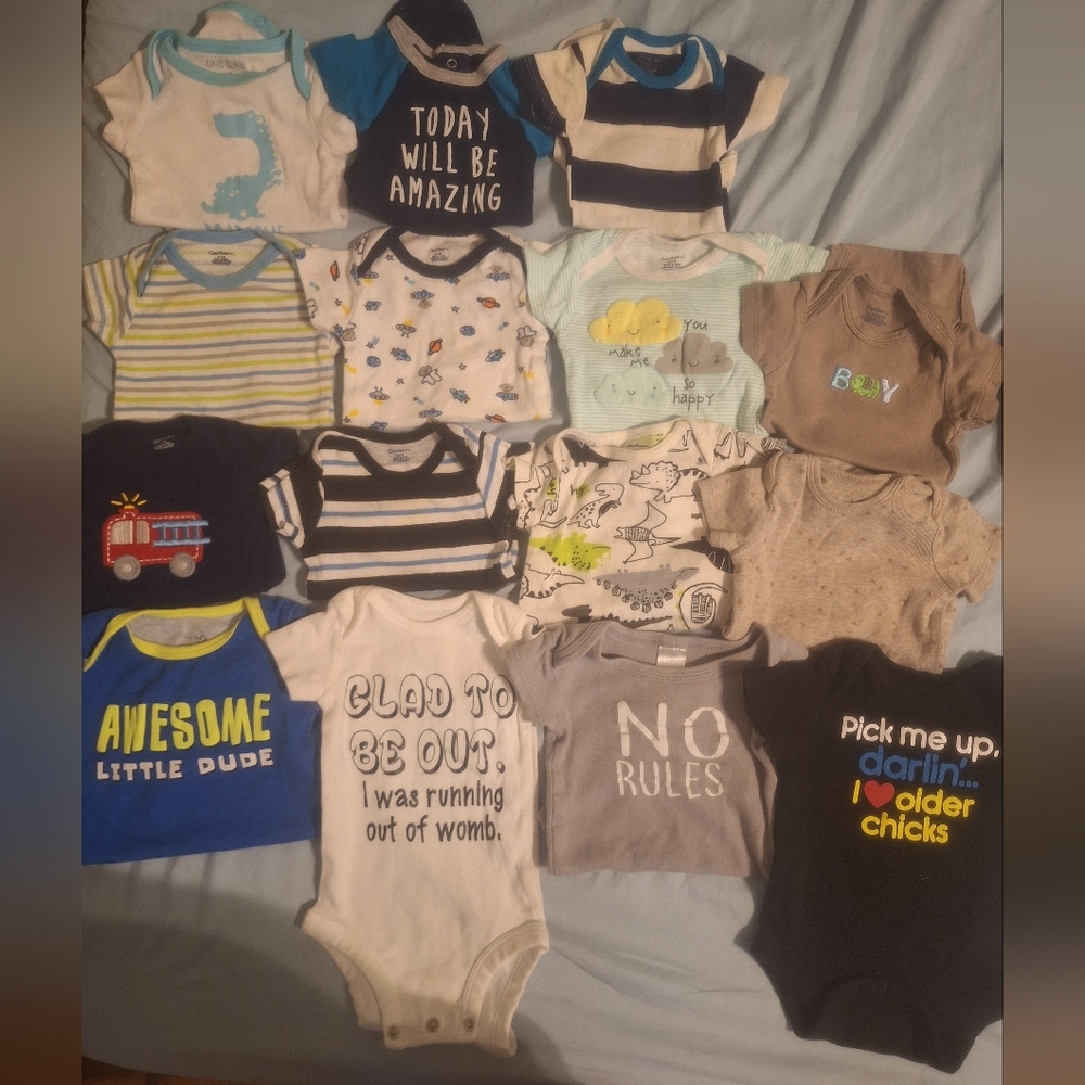 Assorted Baby Bodysuits Collection
